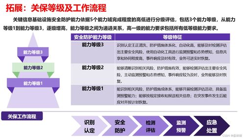 信息系統(tǒng)網(wǎng)絡(luò)安全方案 三保一評(píng)與專用軟件開發(fā)策略